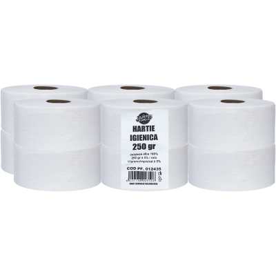 Hartie igienica 250 g set 12 role pentru dispenser Jumbo